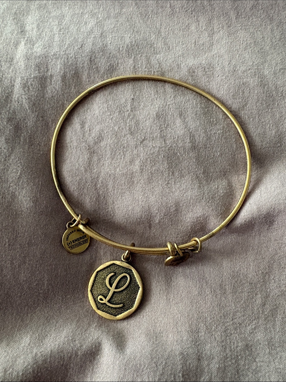 Alex and Ani Gold Initial L Disc Bangle Bracelet